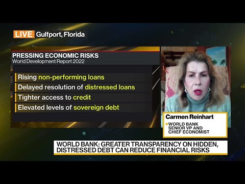 Thumbnail for Developing Nations Face Growing Risks, World Bank Says by Carmen Reinhart