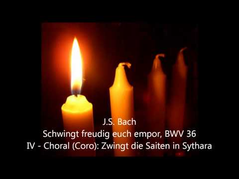 BWV 0036-4 Zwingt die Saiten in Cythara