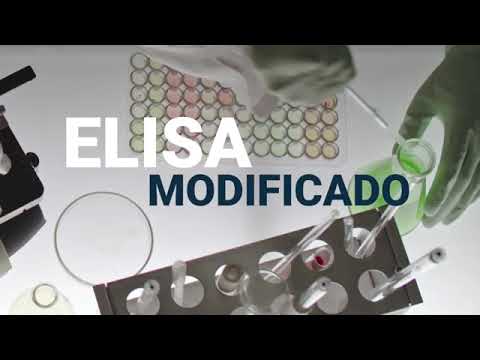 CHORUS TRIO DIESSE multiparametric system for immunometric assay, ИФА анализатор заболеваний