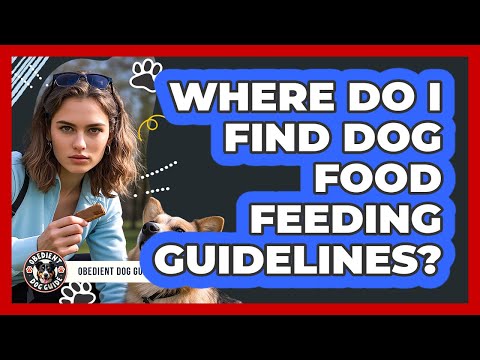 Where Do I Find Dog Food Feeding Guidelines?
