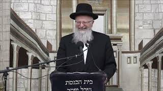 תורתו של הרב אליהו זצוק"ל | הרב שמואל אליהו | קול צופייך לפרשת קרח תשפ"ד (הרב שמואל אליהו) - התמונה מוצגת ישירות מתוך אתר האינטרנט יוטיוב. זכויות היוצרים בתמונה שייכות ליוצרה. קישור קרדיט למקור התוכן נמצא בתוך דף הסרטון