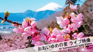 おおいゆめの里
