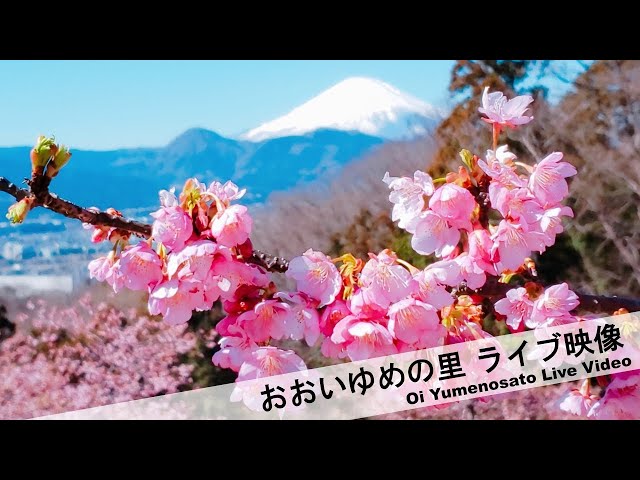 おおいゆめの里
