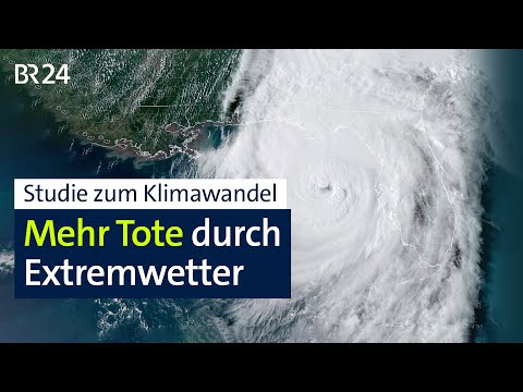 Studie zum Klimawandel: Mehr Tote durch Extremwetter | BR24