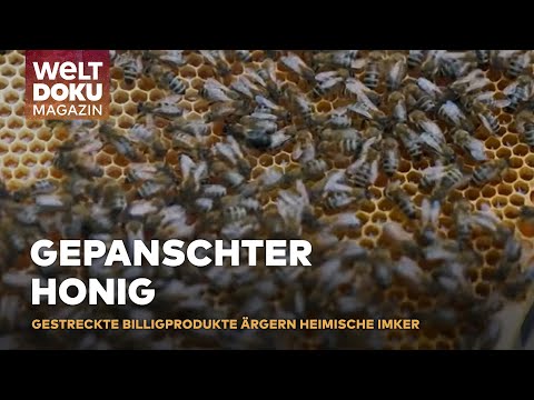 GEPANSCHTER HONIG! Die wertvolle Arbeit der Imker für reinen Honig und beste Qualität