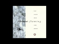 djen ajakan shean & vidna obmana "parallel flaming"
