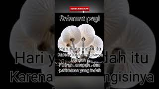 Download lagu Selamat Pagi Untuk Hari Yang indah #videoshort #caption #whatsappstatus #storywa #selamatpagi mp3 Download lagu Selamat Pagi Untuk Hari Yang indah #videoshort #caption #whatsappstatus #storywa #selamatpagi mp3