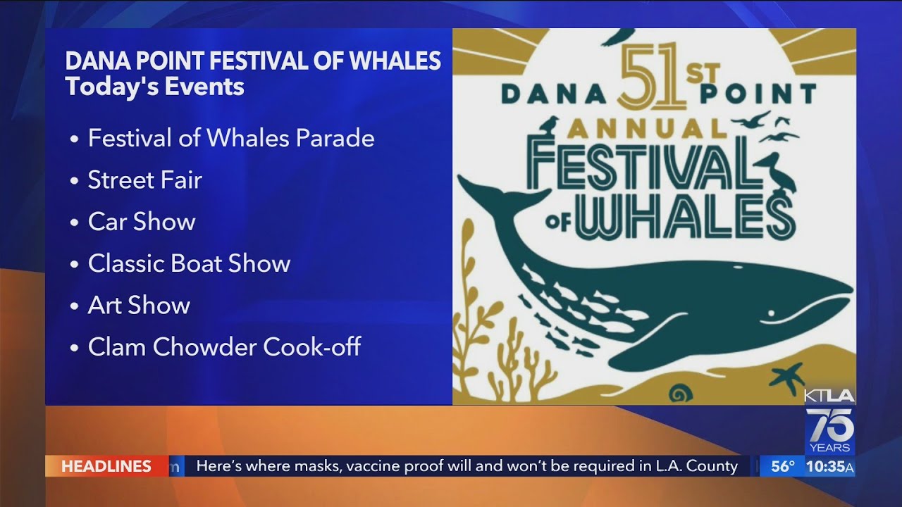 Dana Point Festival of Whales