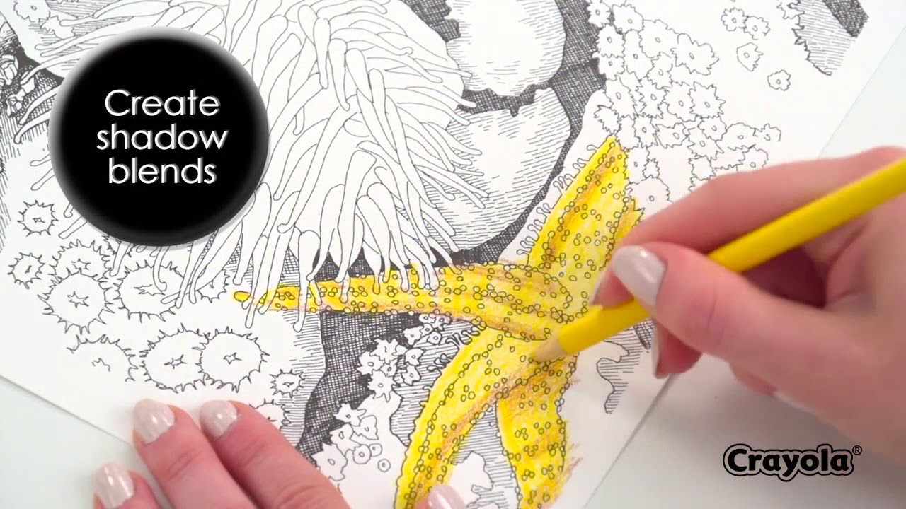 Color Your Way to Relaxation with Crayola Color Escapes Video