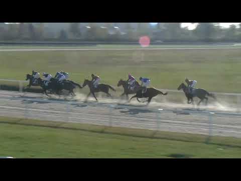 2018.11.04. 04. futam - GRÓF KEGLEVICH LÁSZLÓ EMLÉKVERSENY HENDIKEP (III.o.) (szintetikus pálya)