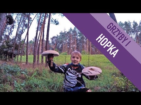 Moto-grzybobranie i zabawa na mini hopce