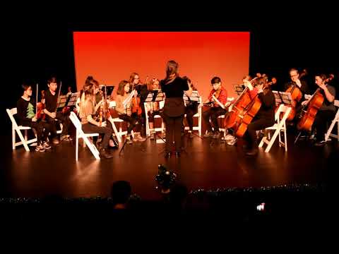 LMC String Orchestra - Wired