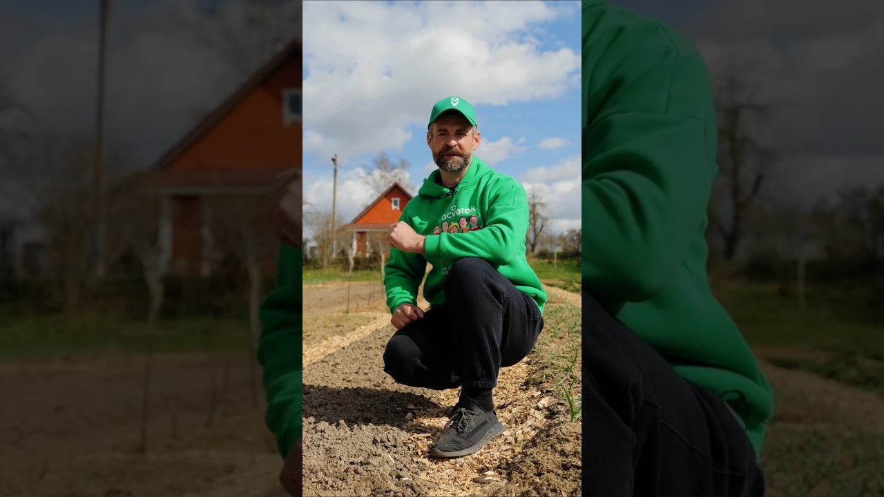 Внесите это в почву весной, и она станет рыхлой и плодородной, а растения не будут болеть!