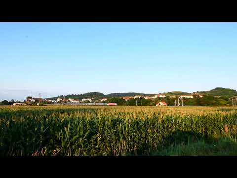 Mediaş (Rora Mare): IR 346 train (București Nord - Wien Hbf)