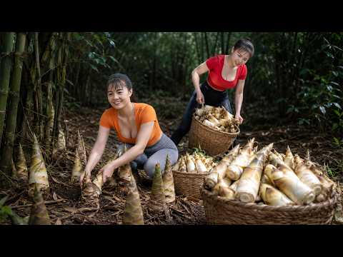Harvesting Giant Bamboo Shoots | Sell At Countryside Market & Care For Animals