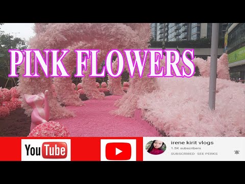 PINK FLOWERS|IRENE KIRIT VLOGS