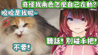 蘿蔔子玩了一個禮拜的星露谷，因為恰恰才偶然發現可以用手把玩。蘿蔔子：剛剛我跟恰恰大戰了一番。【蘿蔔子/ロボ子/ROBOCO】【HOLOLIVE中文】