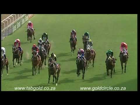 20171022 Greyville Race 5 won by DOING IT FOR DAN