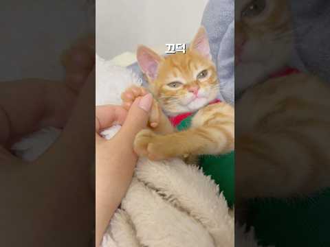 집사가 유난이다