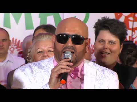 Lakodalmas Didivel - Didi - Alma a fa alatt