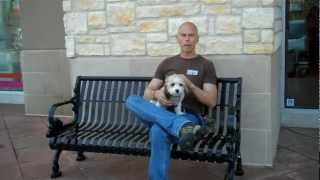 preview picture of video 'How to socialize your puppy | Redeeming Dogs | Highland Village Dog Training'