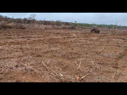 ♦️ Fazenda em Minas Gerais📍APTIDÃO: Café, Milho, Soja, Eucalipto e Pecuária.♦️ Área 2.200 hectares.