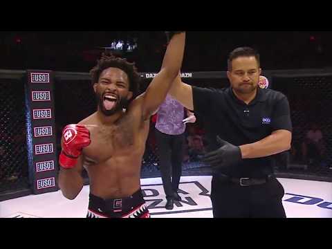 The Art Of Raufeon Stots