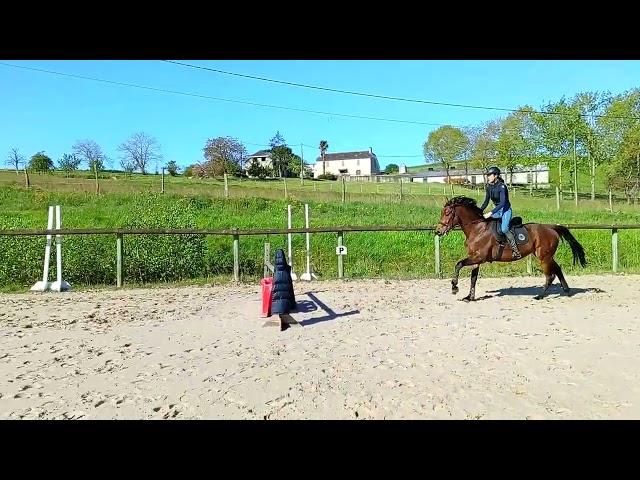 Equestrian property  Pyr&eacute;n&eacute;es-Atlantiques