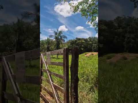 FAZENDA  PARA VENDA NA ÁREA RURAL DO JARDIM ABC CIDADA OCIDENTAL-GO.