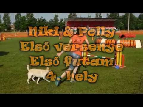 A-team agility kupa, Győrzámoly (2016.06.25.)