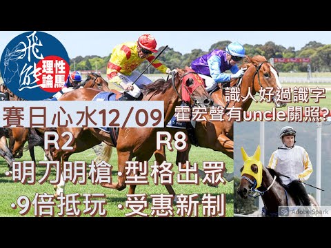 霍宏聲掂唔掂?│R8方嘉柏高質初出馬造就 27倍相當抵│R2泥地專家熱身瞄到準 9倍W苗+田又建功！│飛熊│香港賽馬