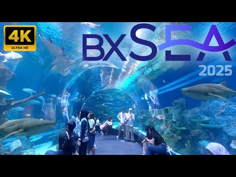 Aquarium BXSea Terkini 2025‼️Aquarium di dalam Mall Bintaro Xchange‼️