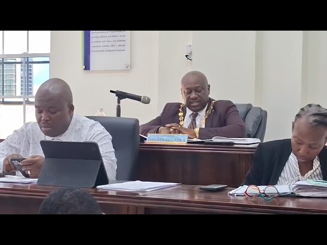 Motion to remove deputy mayor of Savanna-la-Mar denied