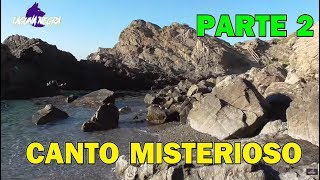 HOMBRE GRABA EL CANTO DE UNA SIRENA ¿REAL O FAKE? PARTE 2