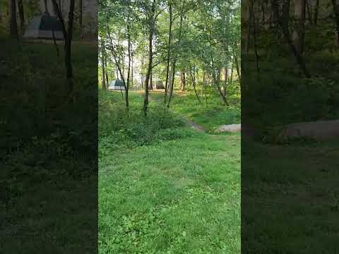 View from the lower part of the site