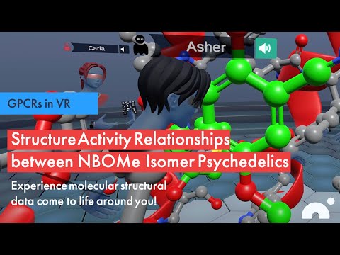 GPCRs in VR: Structure Activity Relationships between NBOMe Isomer Psychedelics