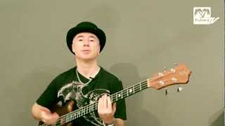 Video thumbnail for Palmer Root Effects Bazz - Product Review by Phil Elter by Palmer