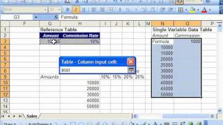 Excel 2003 Tutorial Creating the Data Table Microsoft Training Lesson 29.5