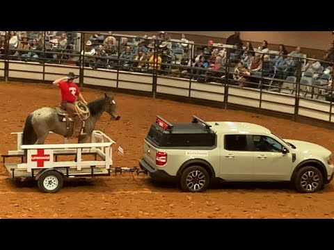 Our WILD Journey through the Mustang Magic