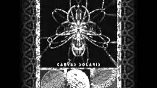 Canvas Solaris - Rhizome