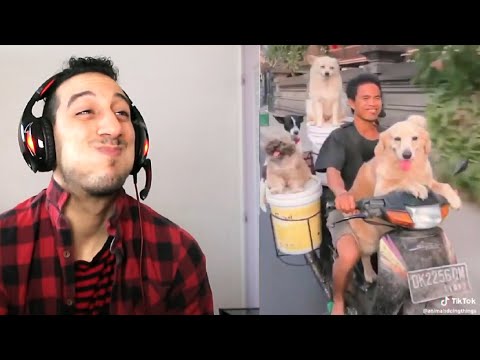 ESSAYEZ DE NE PAS RIRE 5