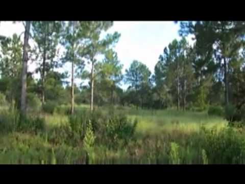 syma's happy birthday