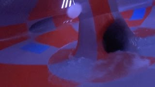 Slither's Toilet Water Slide at Yas Waterworld