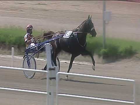 Trotto 08/06/2019 - 3ª corsa