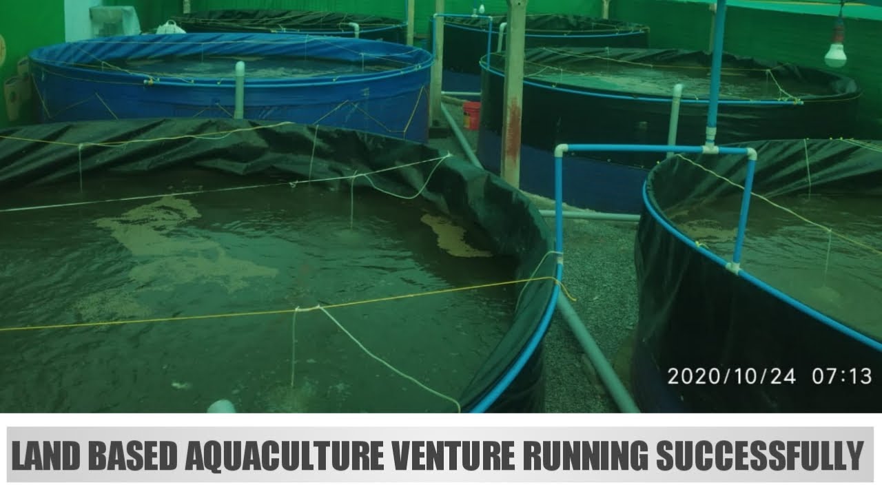 LAND BASED AQUACULTURE VENTURE RUNNING SUCCESSFULLY