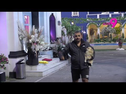 ELITA 9: Bora psuje koga stigne, Foksi mu se dodatno igra s živcima - 14.10.2025.