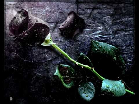 Komunální Odpad - Bílej Květ