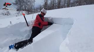 carabinieri-forestali-piu-di-11mila-controlli-a-tutela-di-territorio-e-ambiente