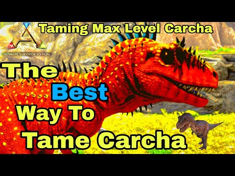 How to Perfect Tame  a Carcharodontosaurus | Ark Ultimate Mobile edition
