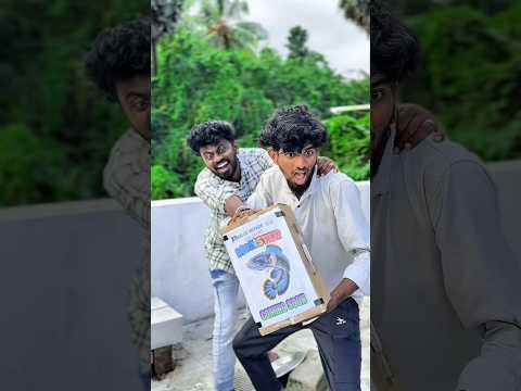 🐠 New monster 👺 channa | tank setup | balasvoyage